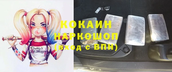 ПСИЛОЦИБИНОВЫЕ ГРИБЫ Верея