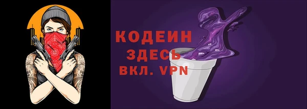 соль ск Волосово