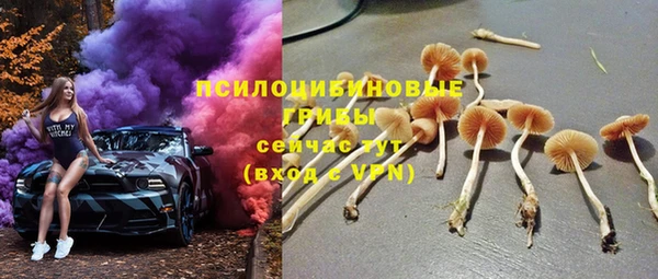 ПСИЛОЦИБИНОВЫЕ ГРИБЫ Верея