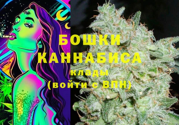 ПСИЛОЦИБИНОВЫЕ ГРИБЫ Верея