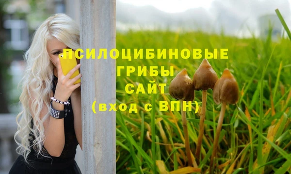 молекула духа Верхний Тагил