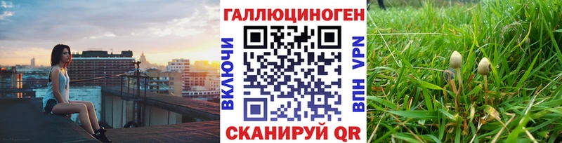 Псилоцибиновые грибы Psilocybine cubensis  Пенза 